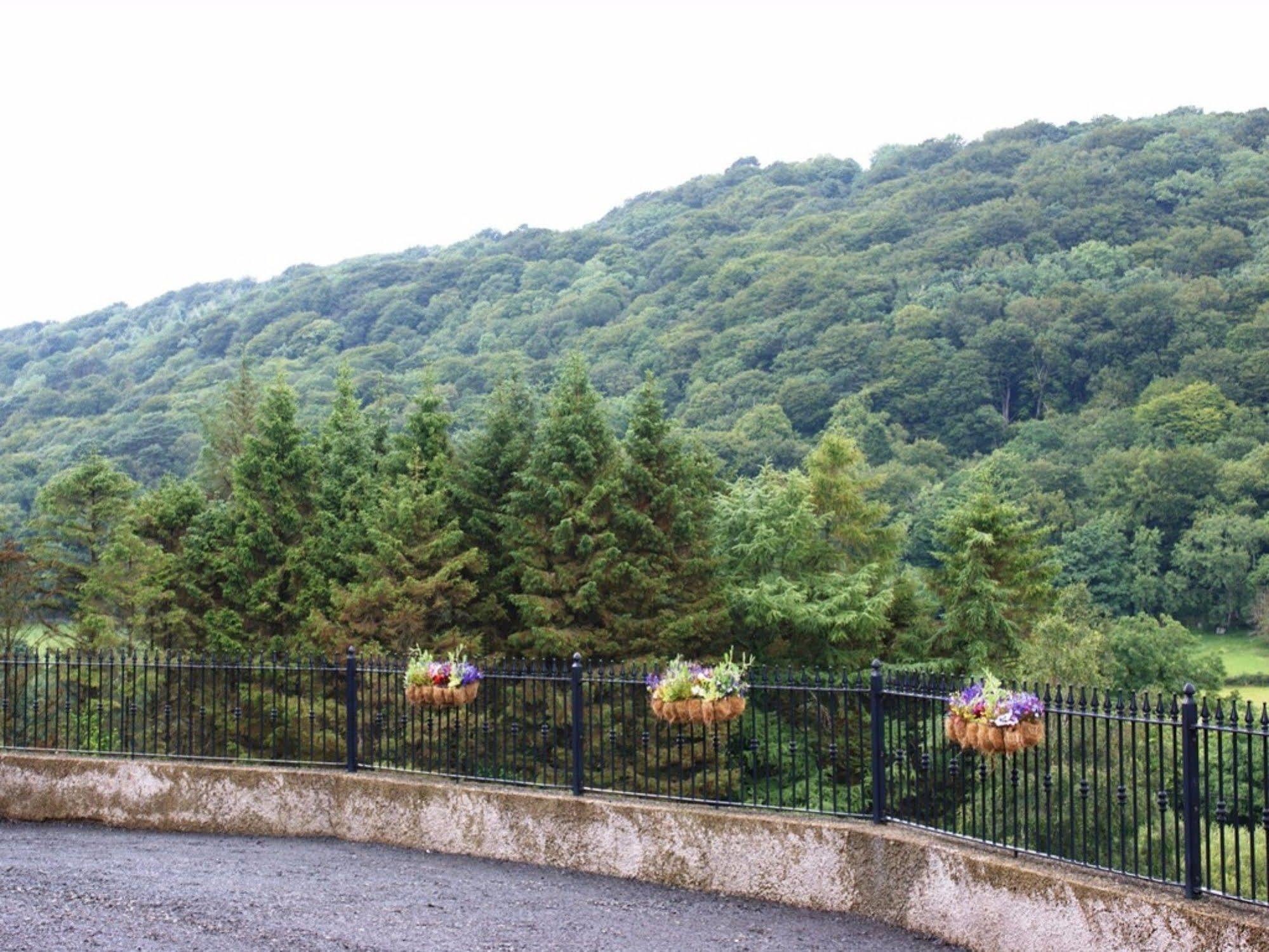 Glenn Eireann House Panzió Cushendall Kültér fotó
